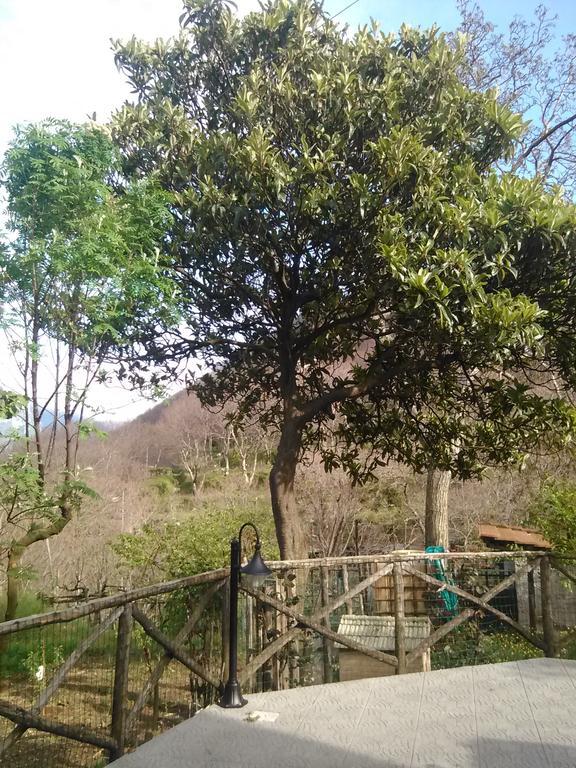 Willa Casa Giordano Tramonti Zewnętrze zdjęcie