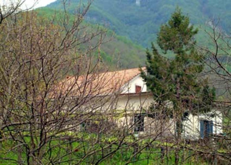 Willa Casa Giordano Tramonti Zewnętrze zdjęcie